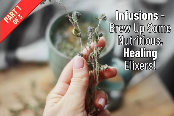 In Hot Water: The Guide to Healing Infusions, Part 1