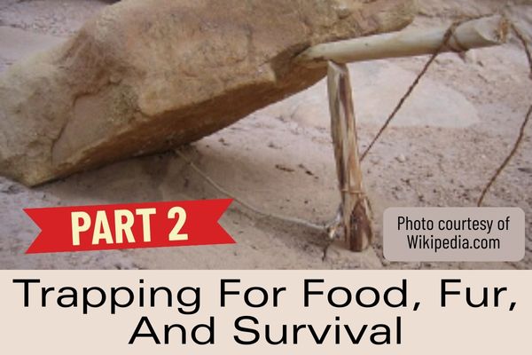 Trapping For Food, Fur And Survival – Part 2