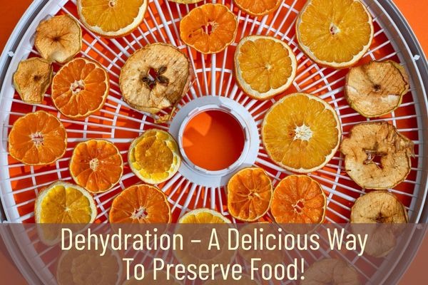 Food Dehydration – A Prepper Tool For Food Security