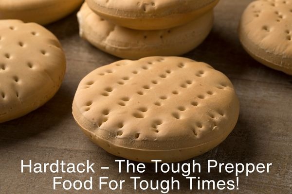 Hardtack: The Food That Could Keep You Alive for Months