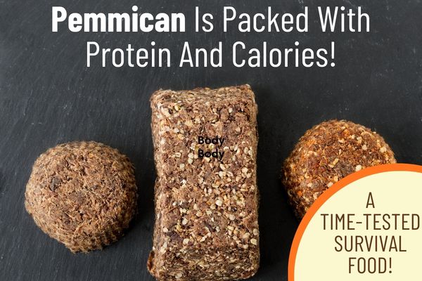 How To Make Pemmican: The Ultimate Long-Lasting Prepper Food