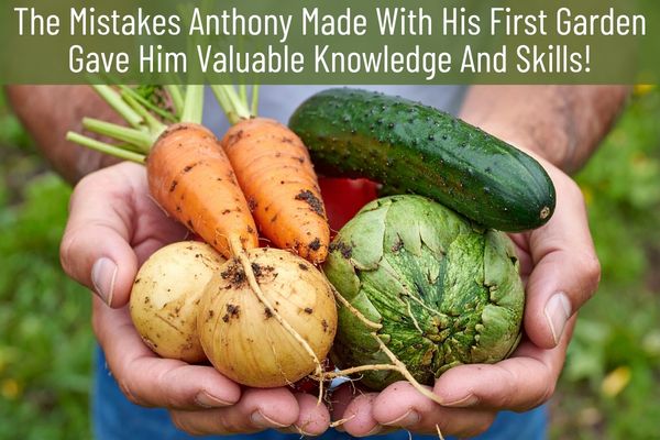 Lessons Learned From My First Vegetable Garden Failure