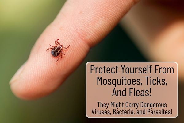 How to Protect Yourself from Insects and Vector-Borne Diseases When Bugging Out or Spending Time in the Woods